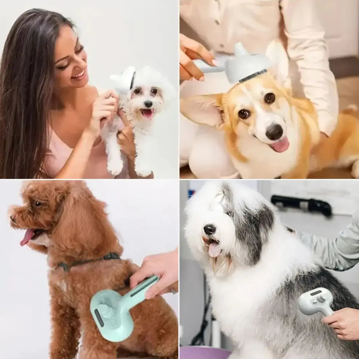 Brosse vapeur pour chien pour petites et grandes races