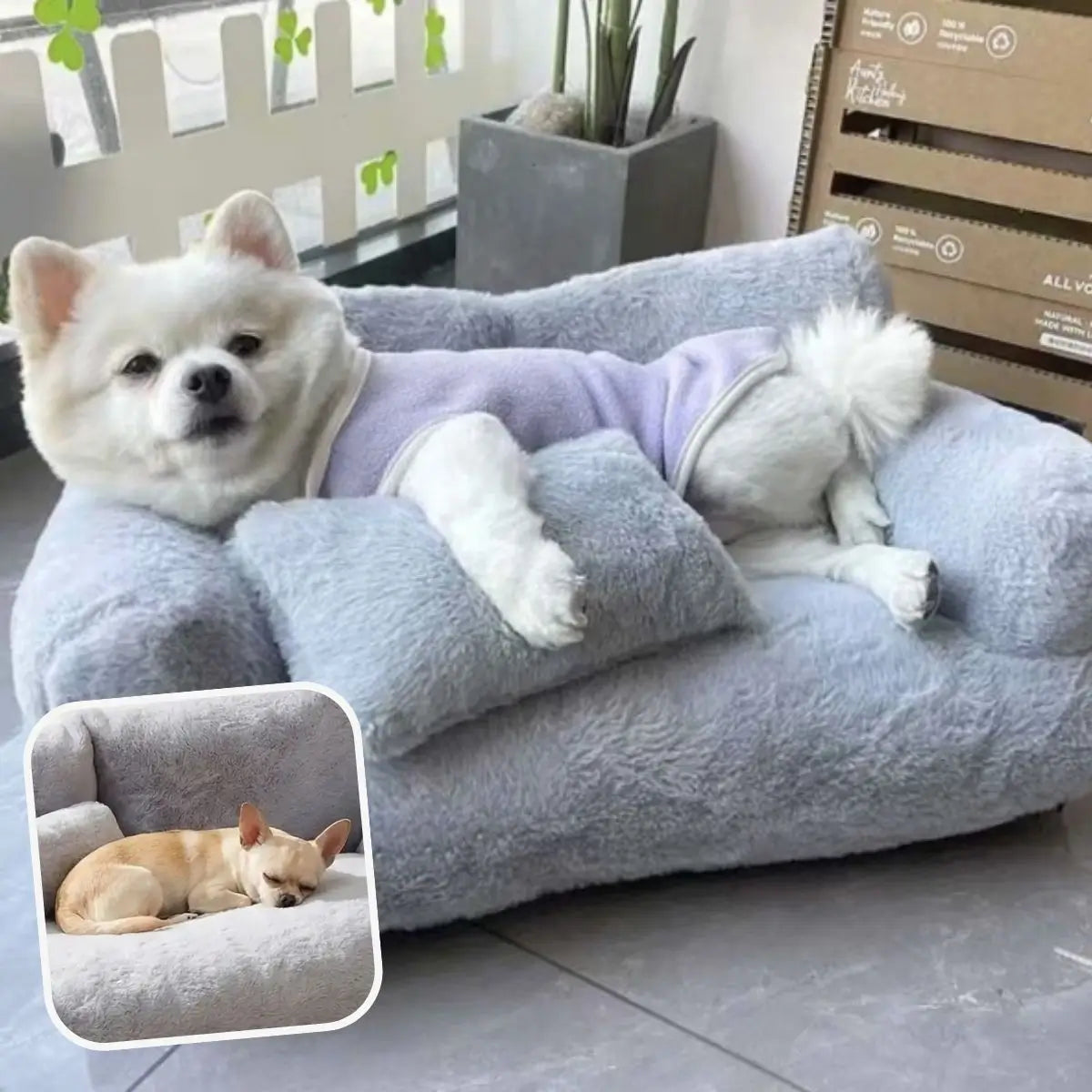 Canapé pour chien gris clair - Puppy Pacha