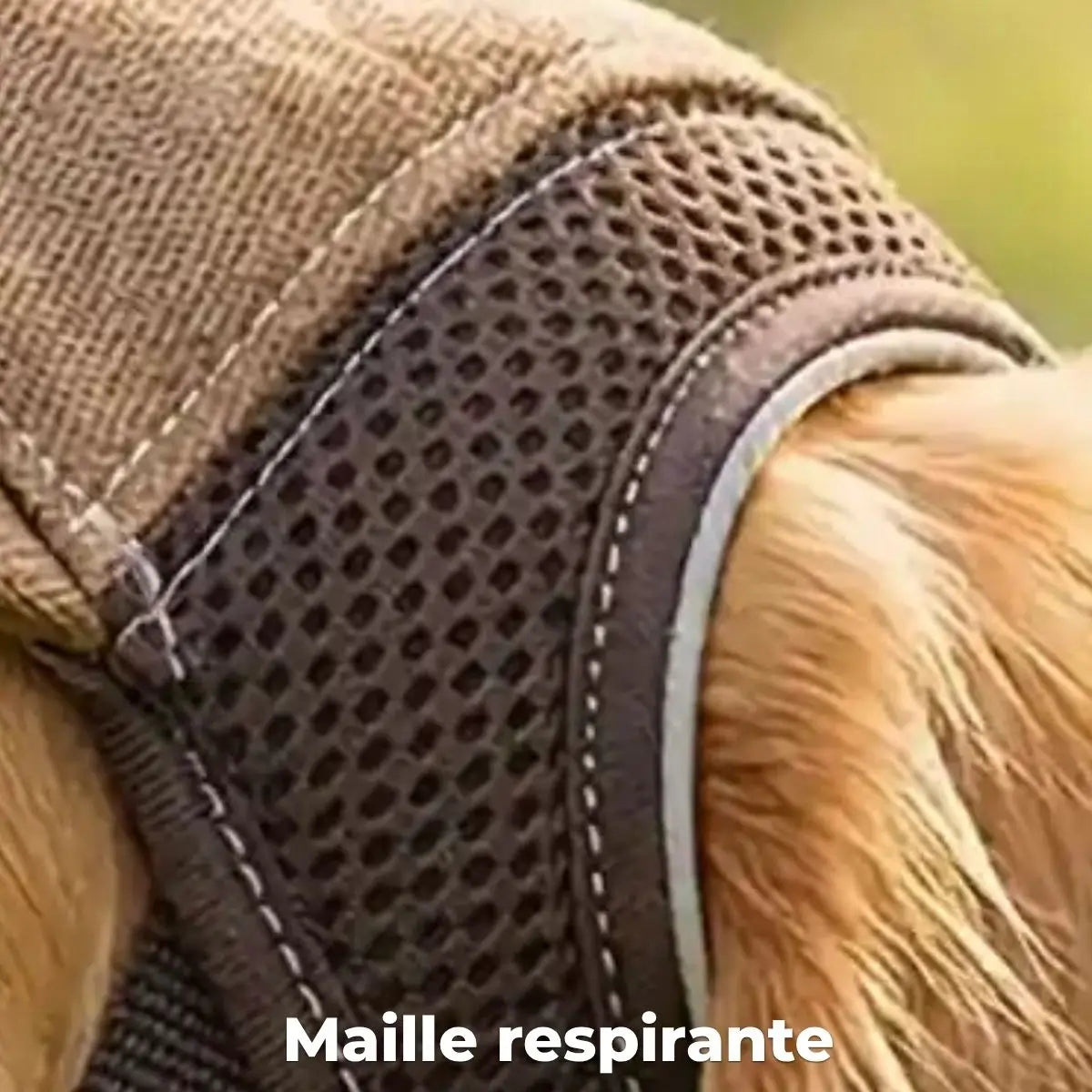 Casquette pour chien maille respirante