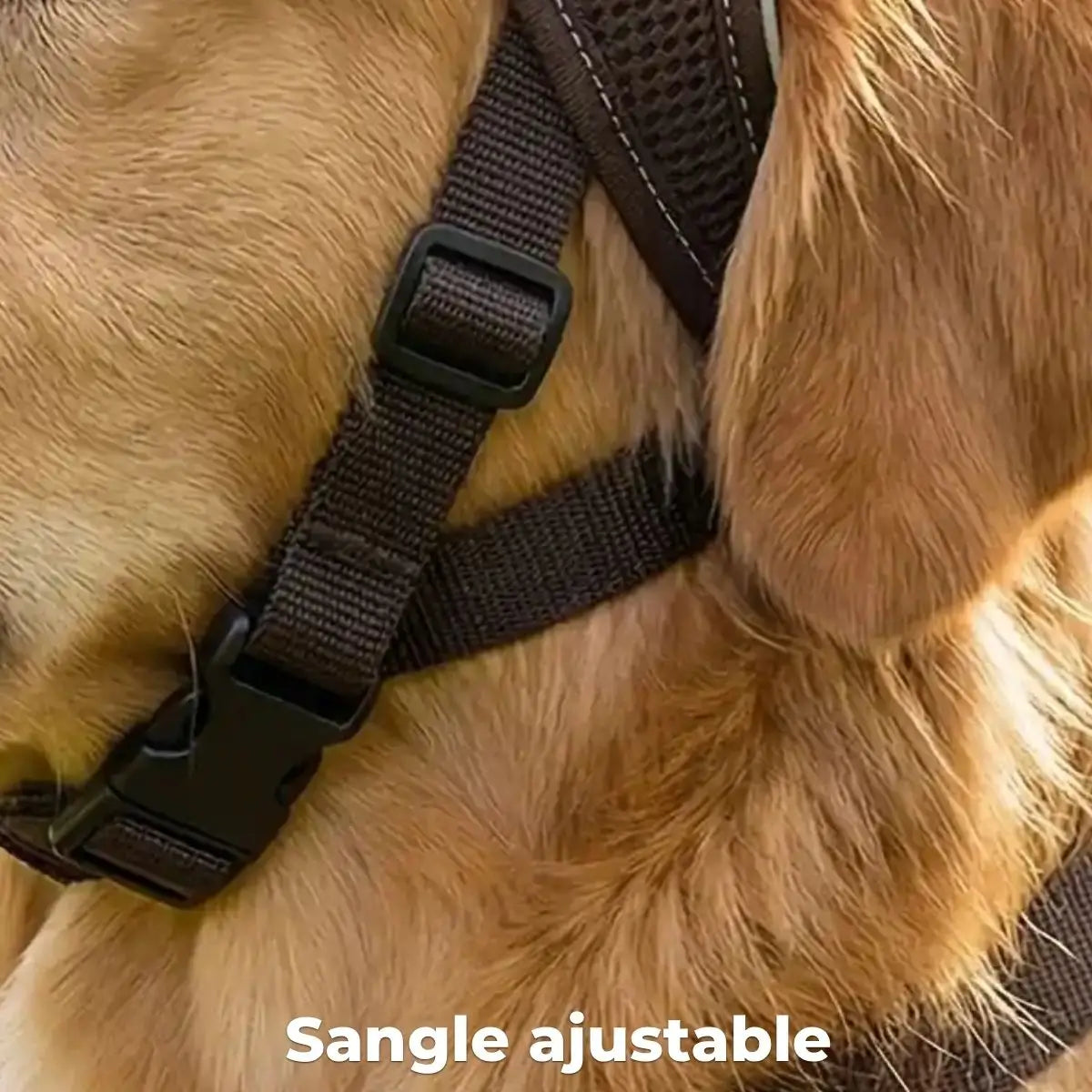 Casquette pour chien sangle ajustable