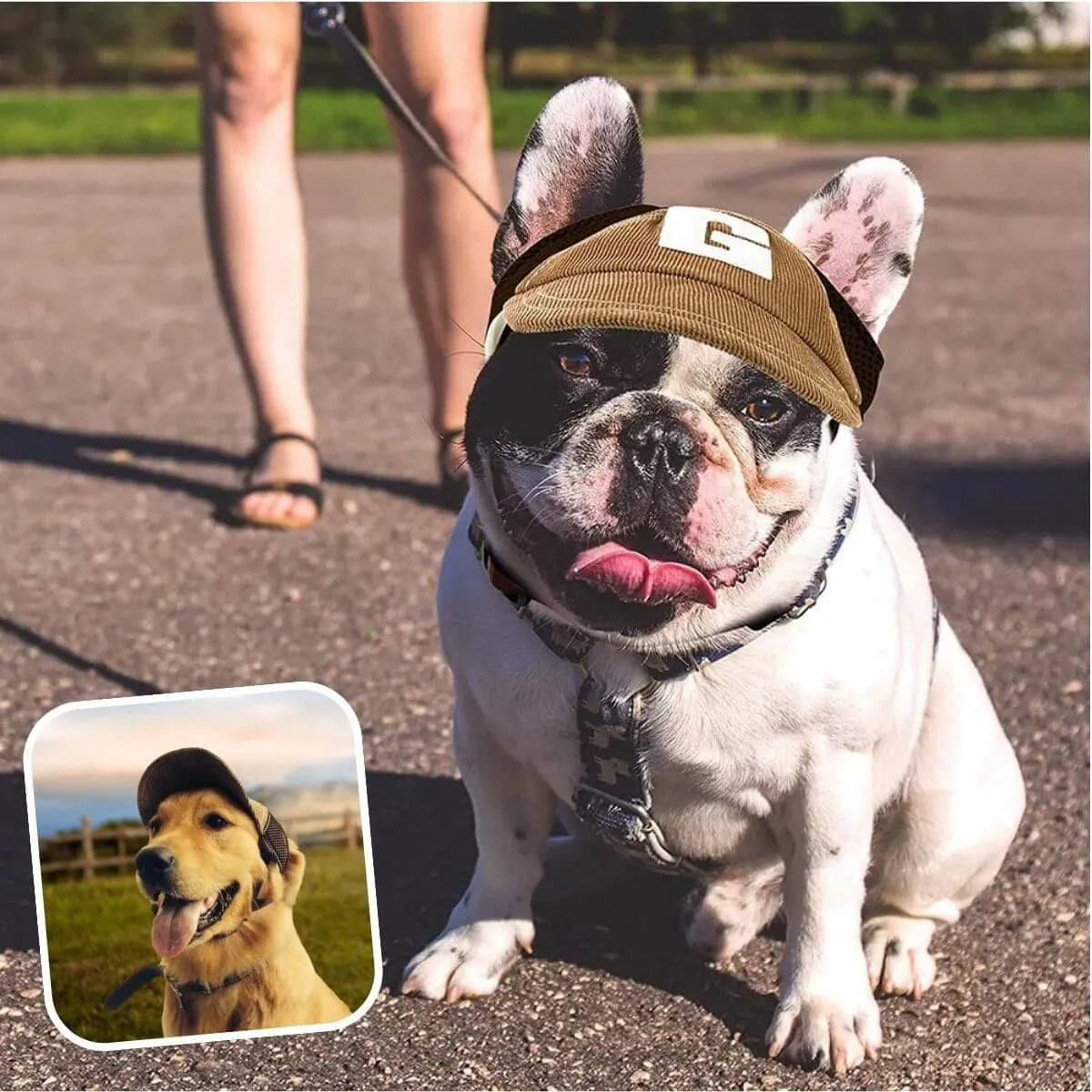 casquette pour chien marron taille M