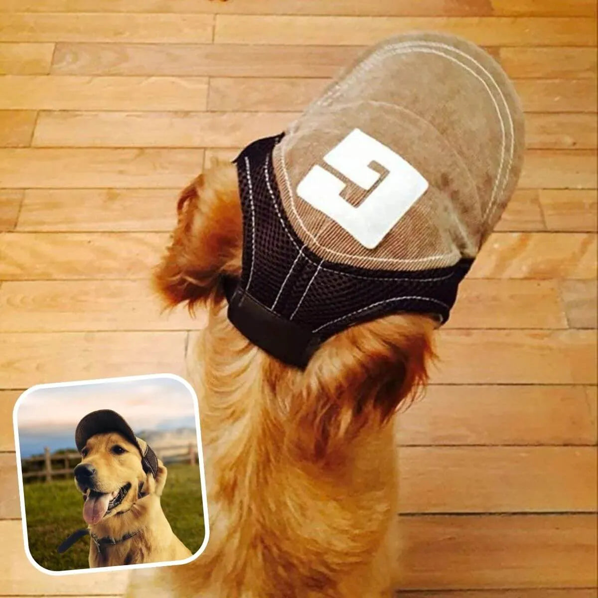 casquette pour chien marron taille S