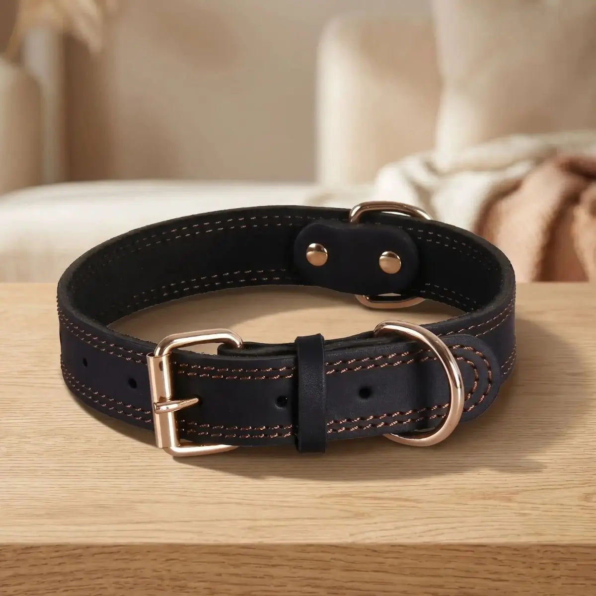 collier chien cuir noir