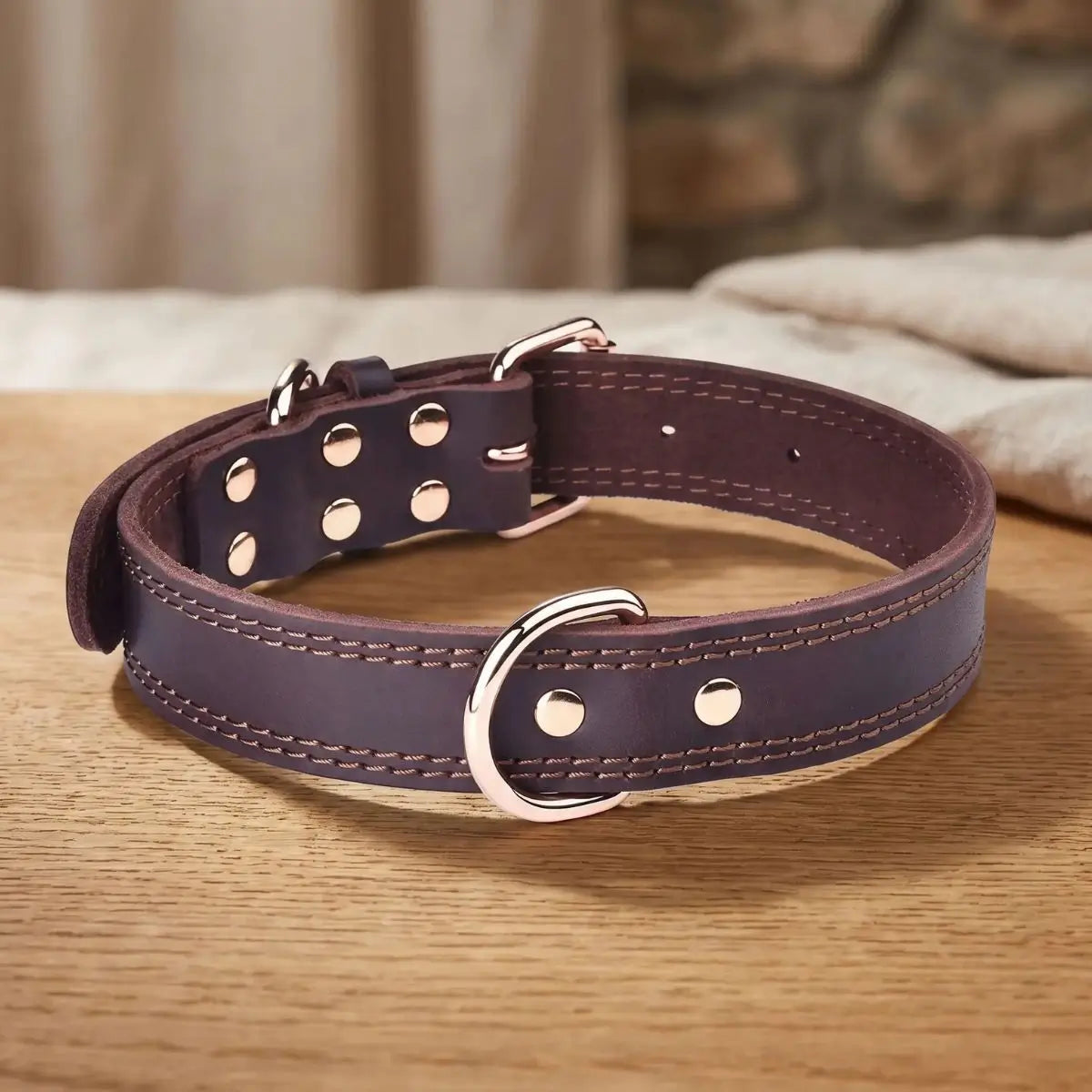 collier chien cuir robuste et bien ajusté