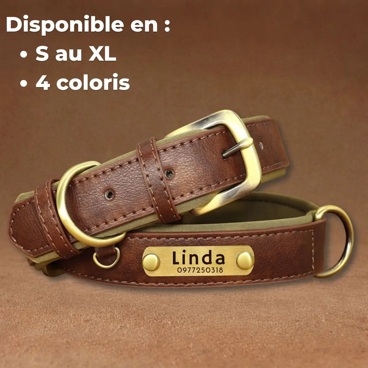 Collier pour chien personnalisé Aélyo™ disponible de la taille S à XL, pour chiots, petits, moyens et grands chiens.
