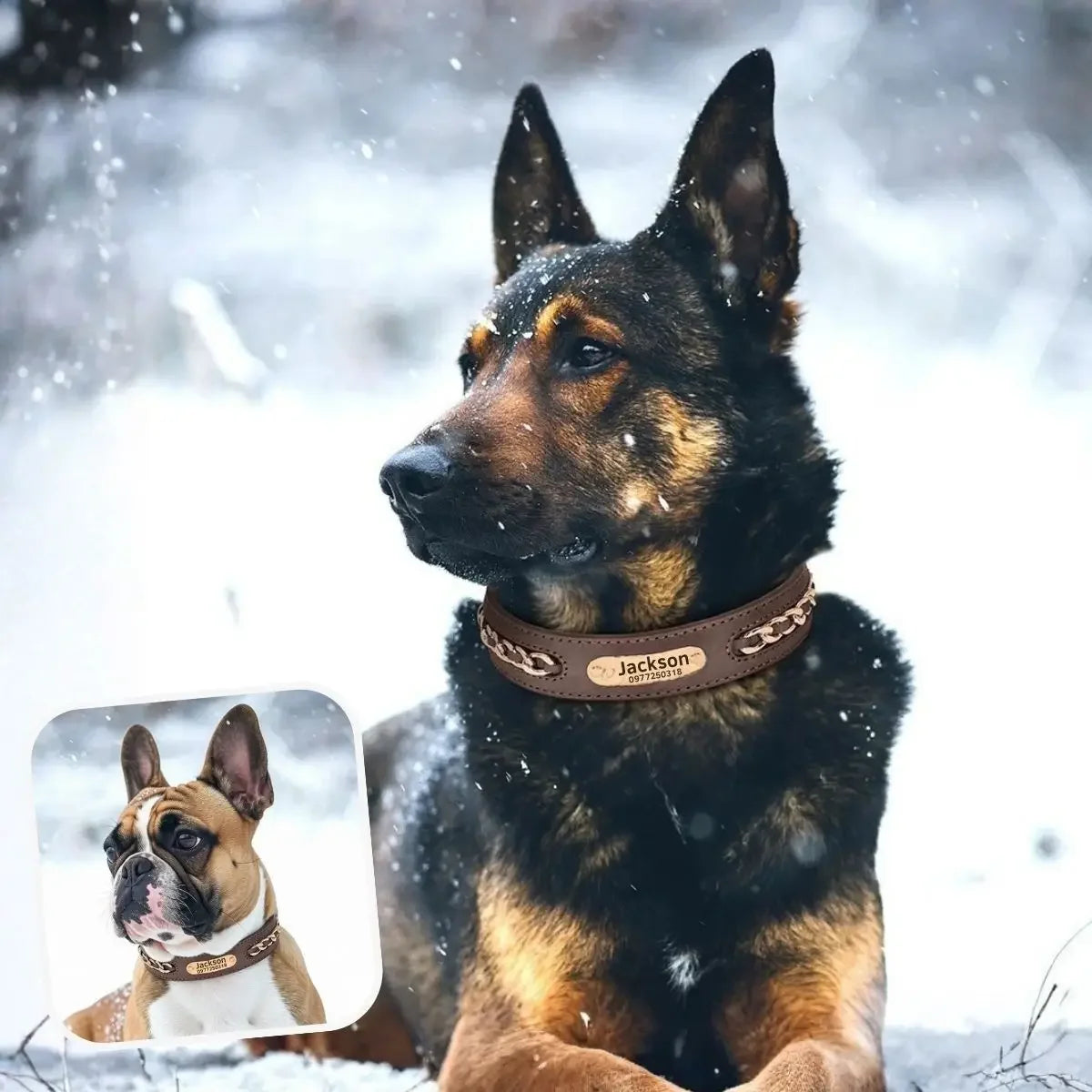 Collier personnalisable pour chien marron OrGo™ porté par deux gabarits