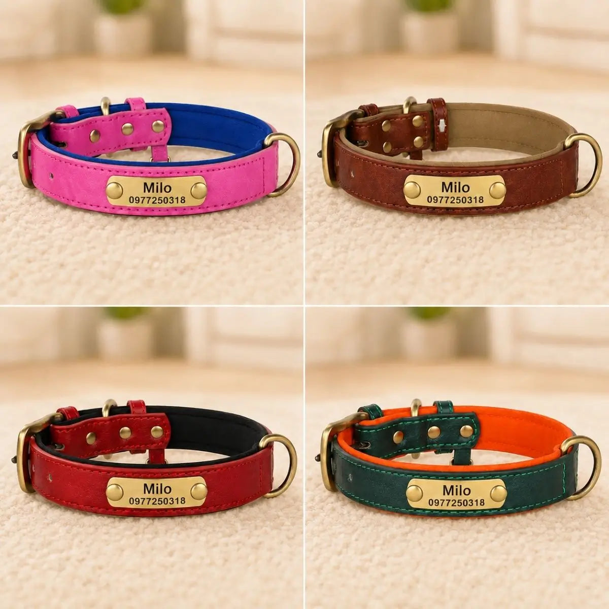 Le collier pour chiot personnalisé TinyID existe en quatre coloris : fuchsia, marron, rouge et vert