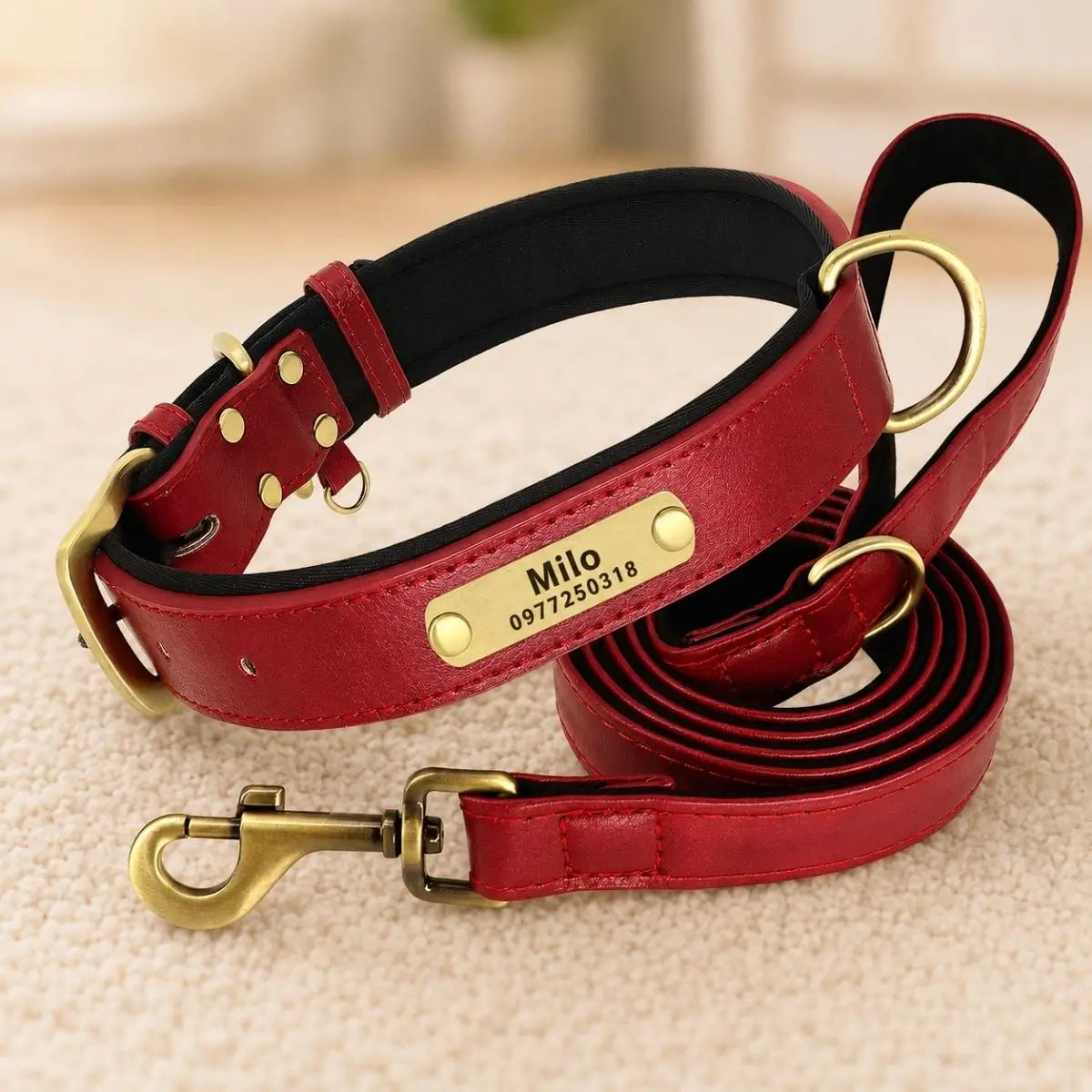 Collier chiot personnalisé TinyID rouge posé avec sa laisse assortie, duo complet