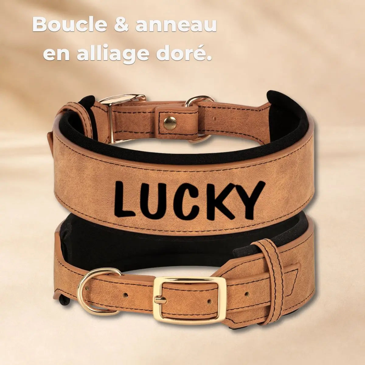 Boucle & anneau d'attache en alliage doré du collier large pour chien personnalisé Signa™
