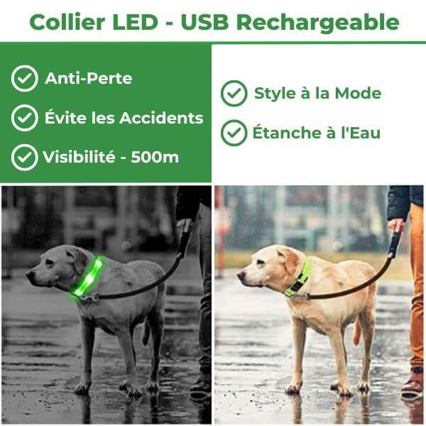 Colliers pour Chiens LED, Rechargeable par USB, 100% Résistant à L