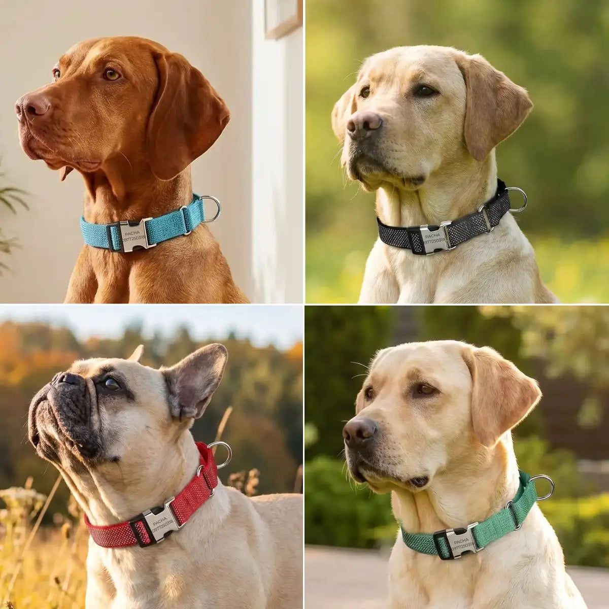 Collier martingale personnalisé disponible en turquoise, noir, rouge et vert