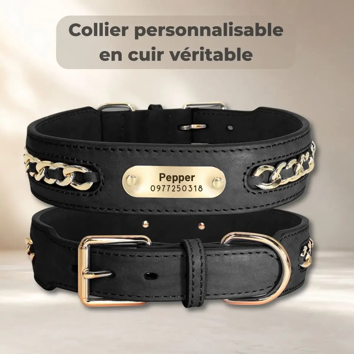 Collier pour chien personnalisé en cuir véritable avec plaque et maillons dorés