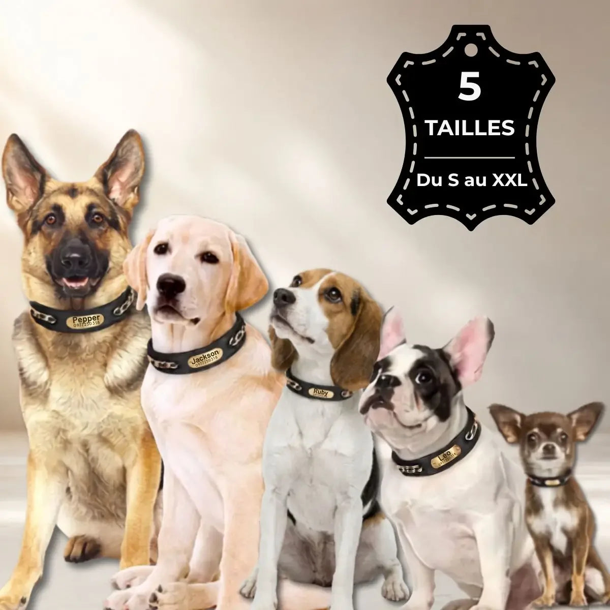 Collier pour chien personnalisable disponible en cinq tailles, du S au XXL