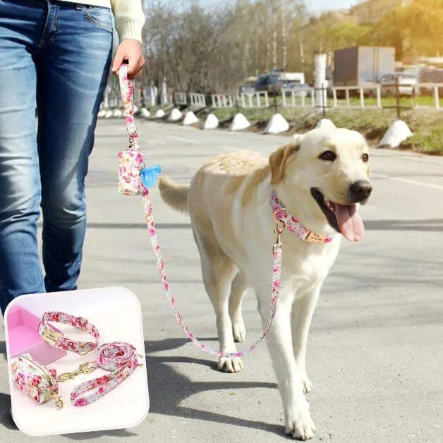 collier-personnalisé-chien