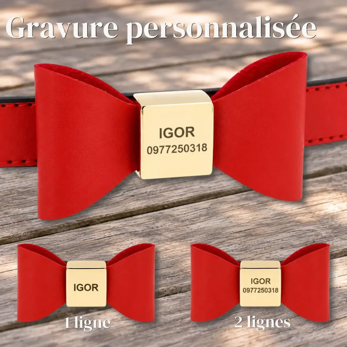 Détail de la gravure personnalisée sur 1 ou 2 lignes, du collier pour chien noeud papillon PachaPaw™