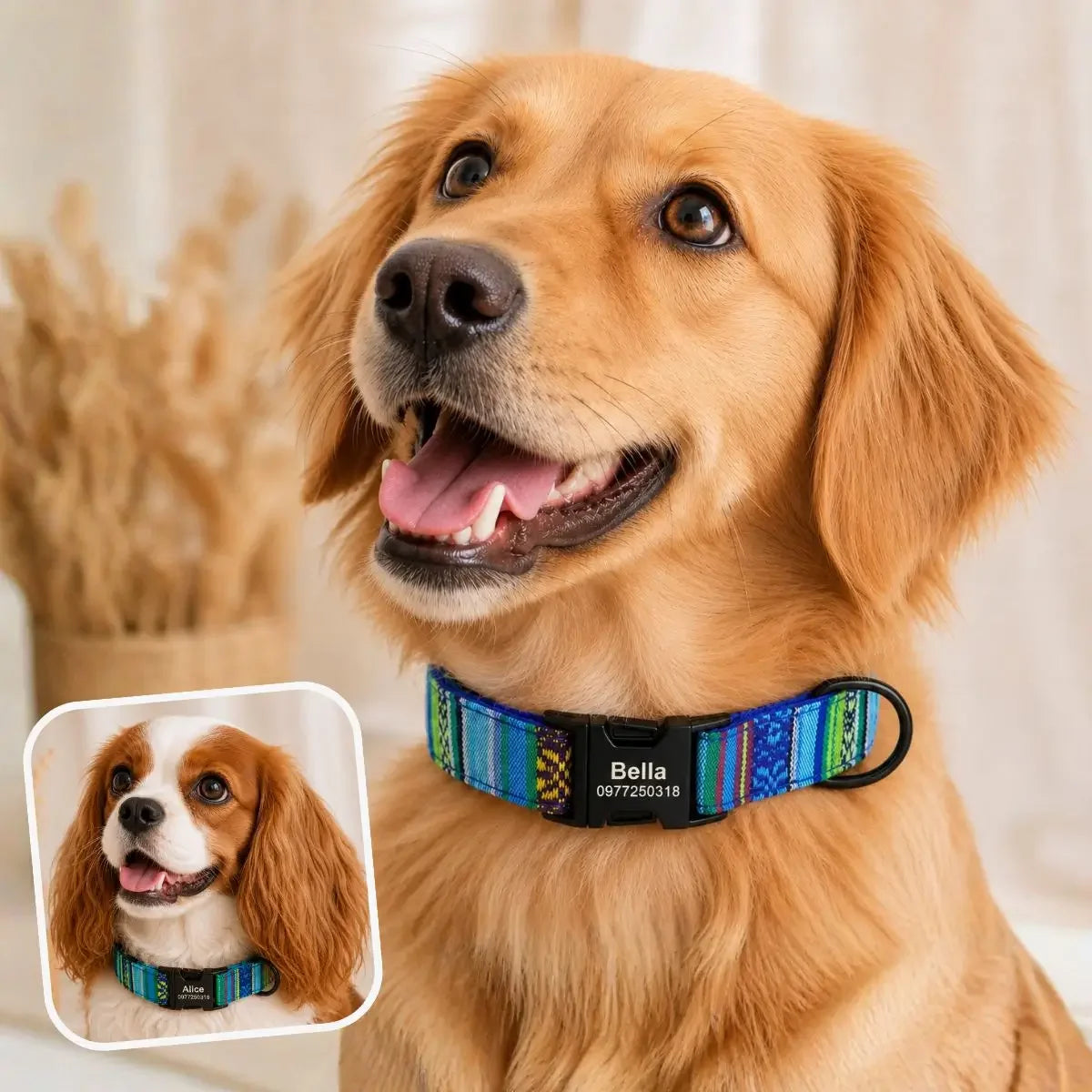 Collier pour chien personnalisé ethnique Kalyoa turquoise porté par un grand chien et un petit chien