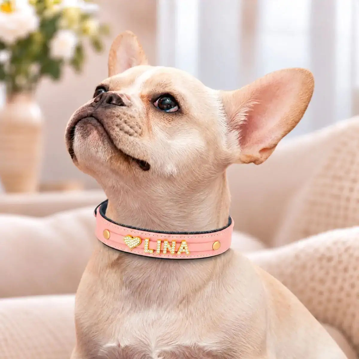 Collier pour chien personnalisé Bijoya™ rose poudré avec prénom LINA en strass et charm cœur, porté par un bouledogue français