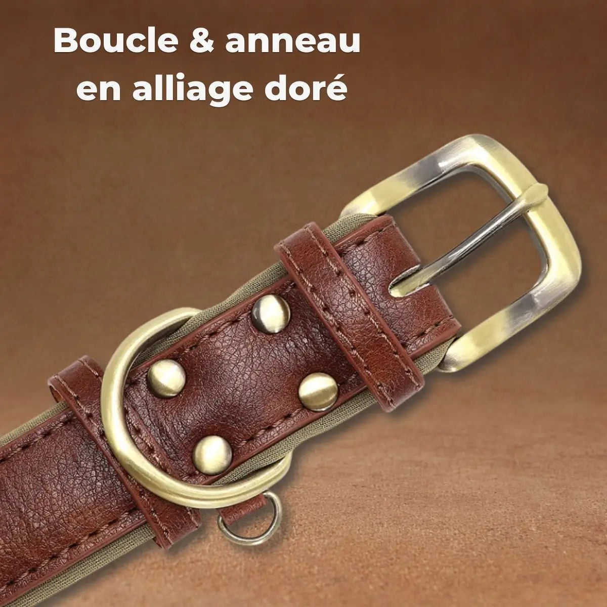 Boucle et anneaux en alliage doré du collier pour chien personnalisé