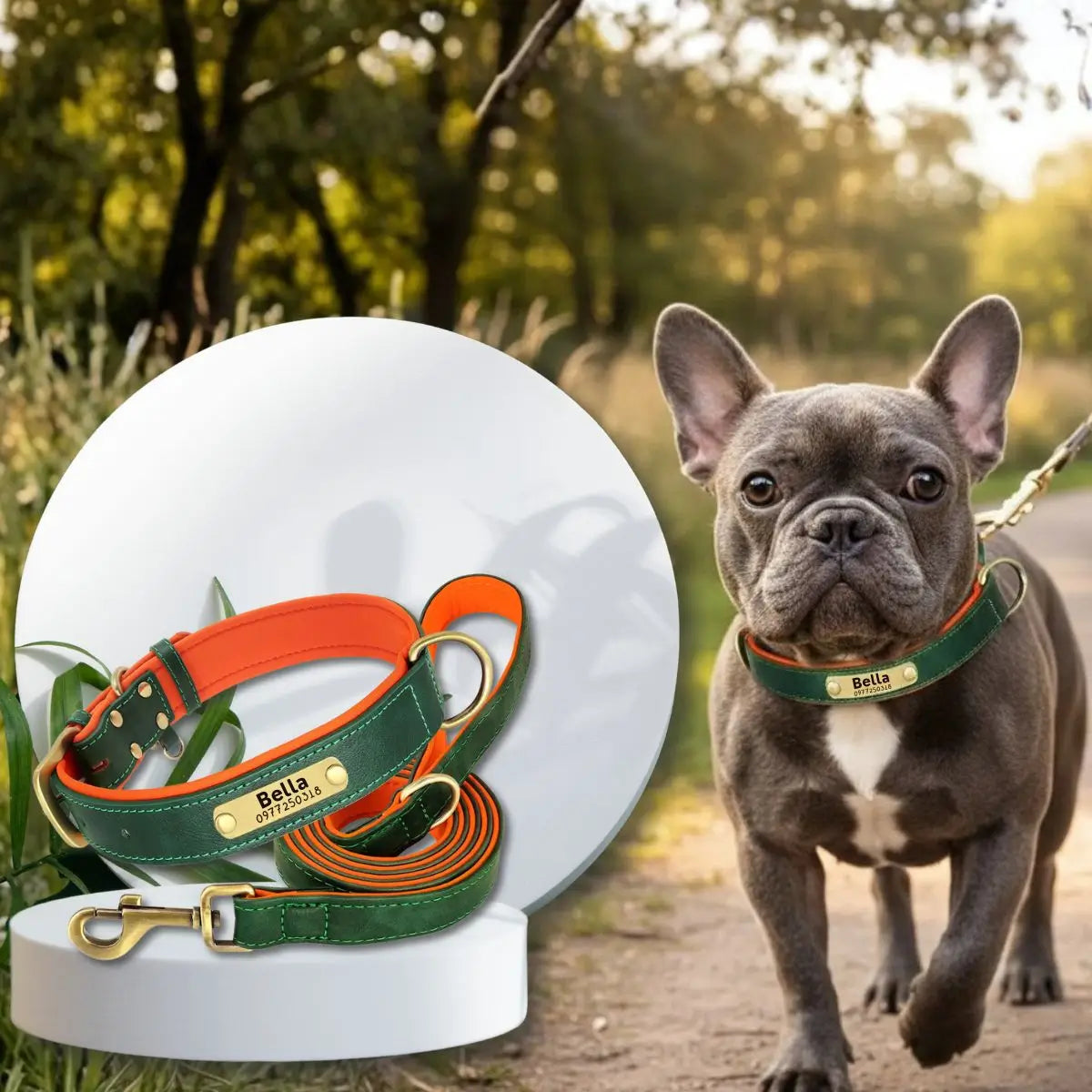 Duo collier pour chien personnalisé et laisse assortie vert porté par un bouledogue français