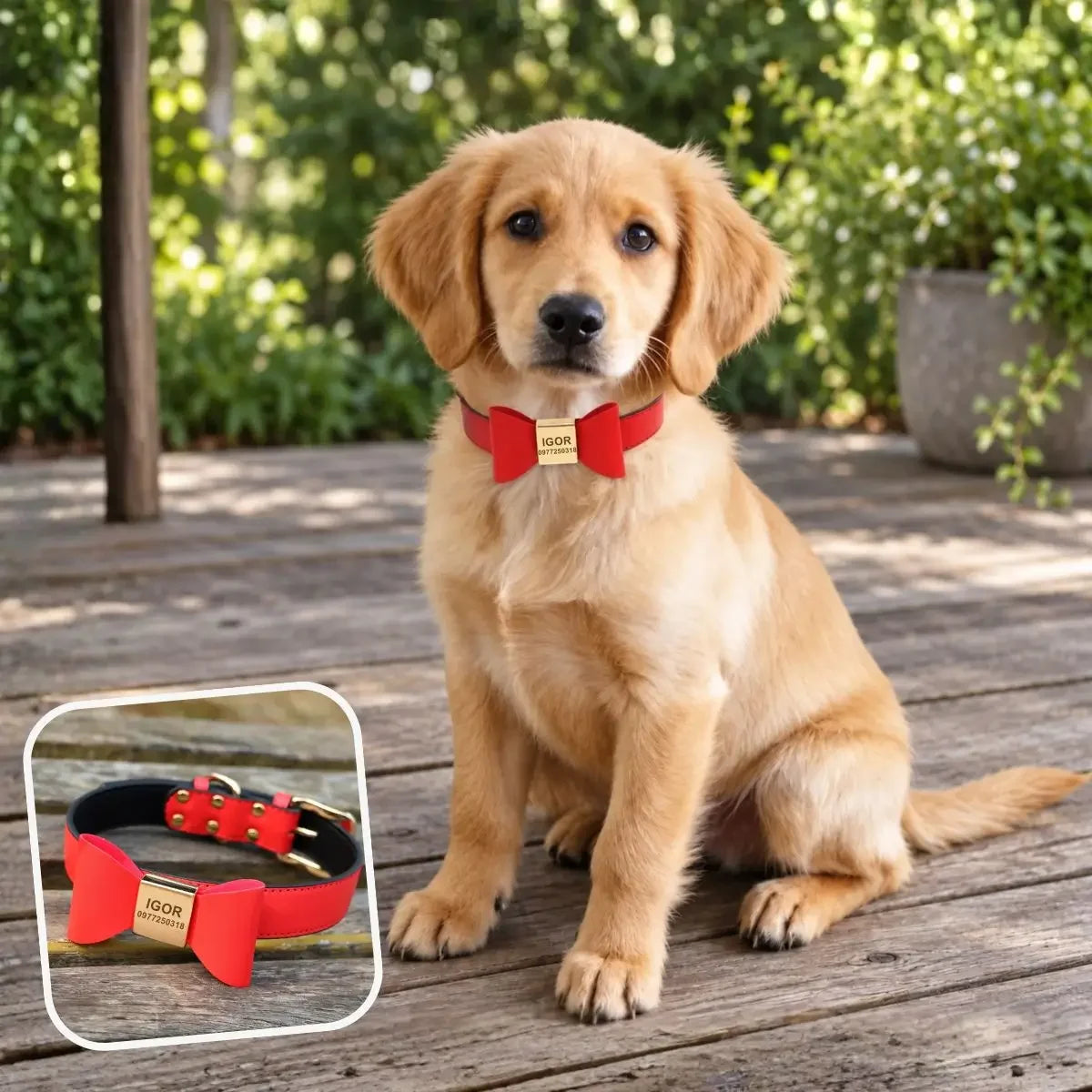 Collier pour chien personnalisé avec nœud papillon rouge et plaque gravée