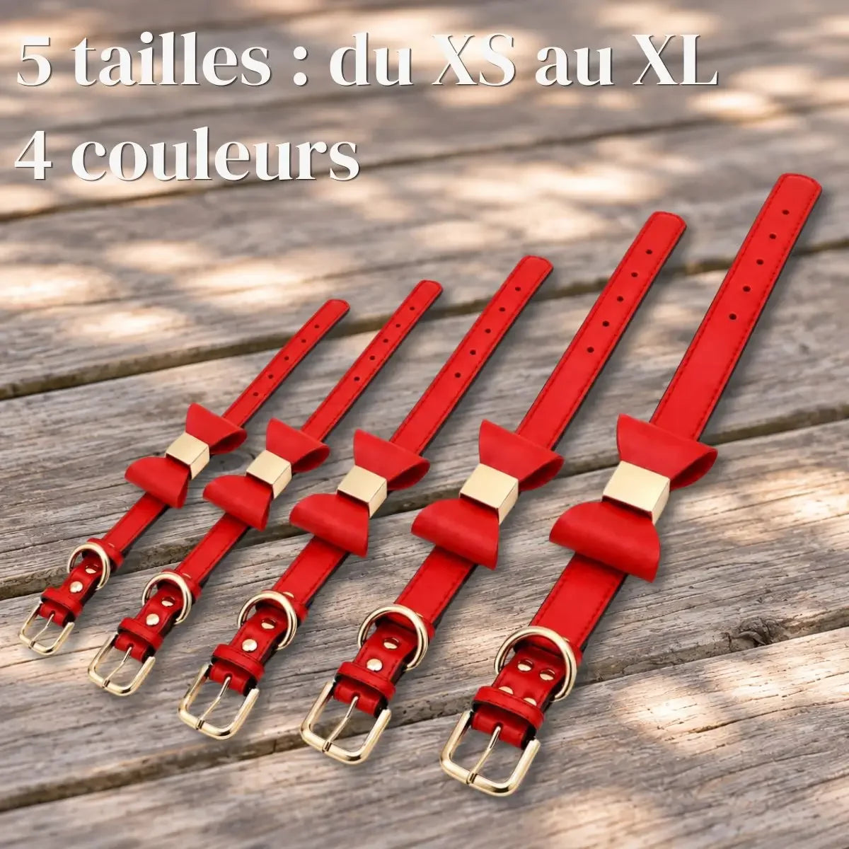 5 tailles du XS au XL du collier pour chien personnalisé PachaPaw™