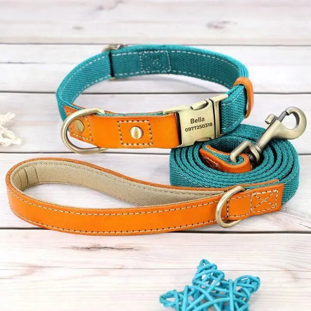 collier-pour-chien-personnalisé-turquoise