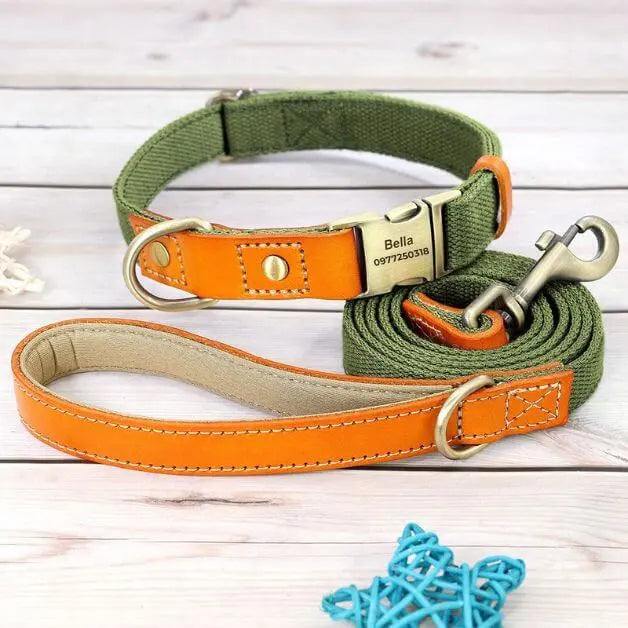 collier-pour-chien-personnalisé-vert