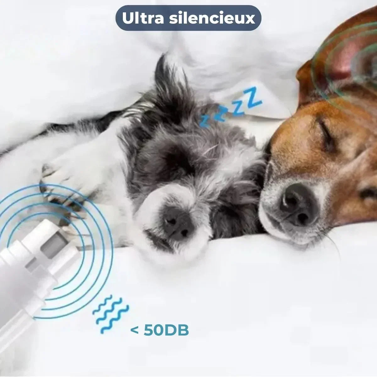 Coupe griffe pour chien ultra silencieux pour chiens anxieux