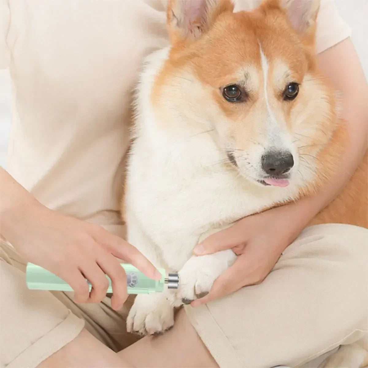 Coupe griffe pour chien ZenGriffe™ vert - lime griffe chien électrique