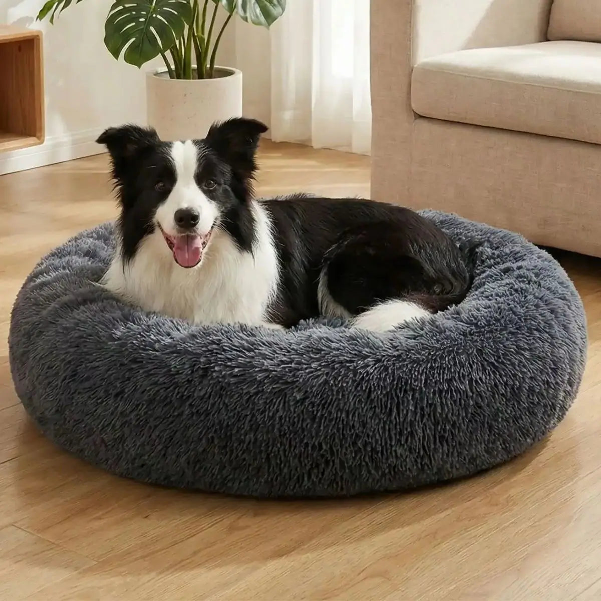 Coussin anti stress chien - Puppy Pacha