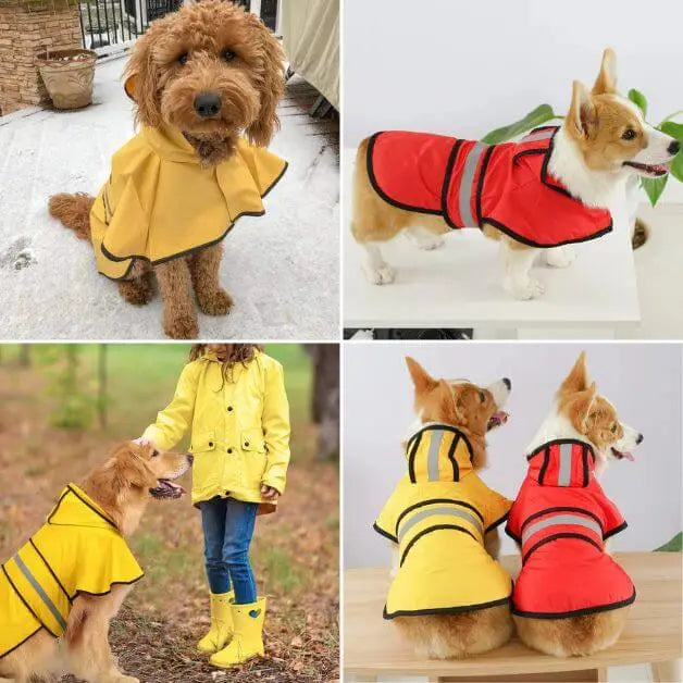 imperméable-chien-design