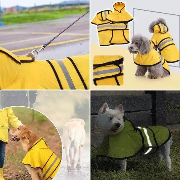 imperméable-chien-réfléchissant-protection-pluie