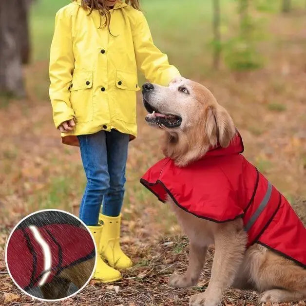 imperméable-chien-rouge