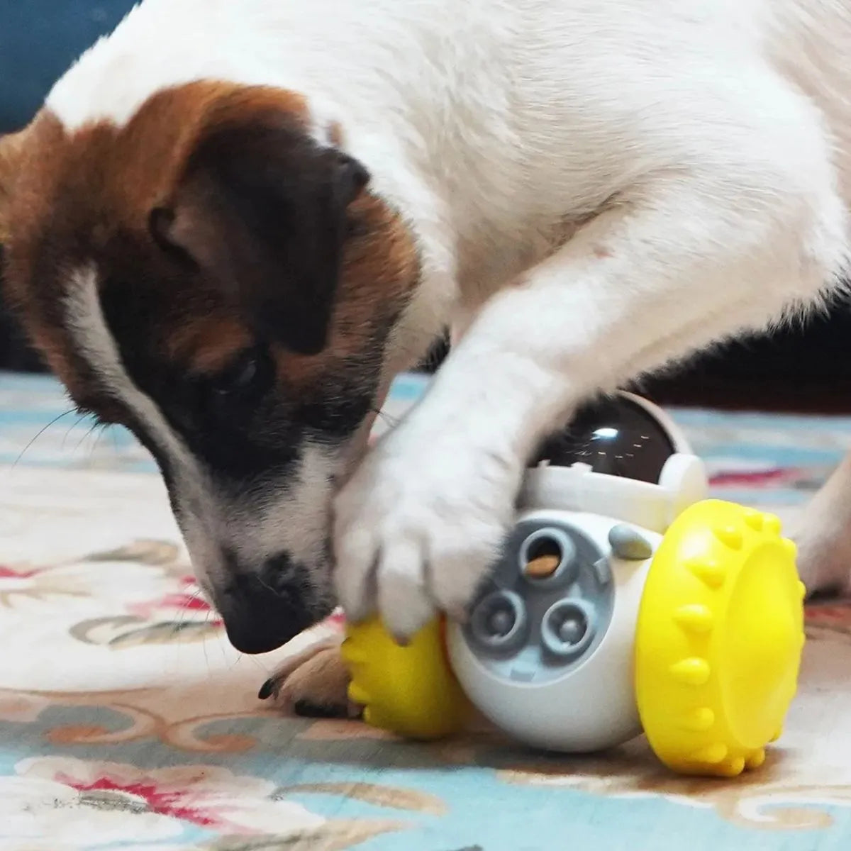 Jouet chien distributeur de croquette - roues jaunes