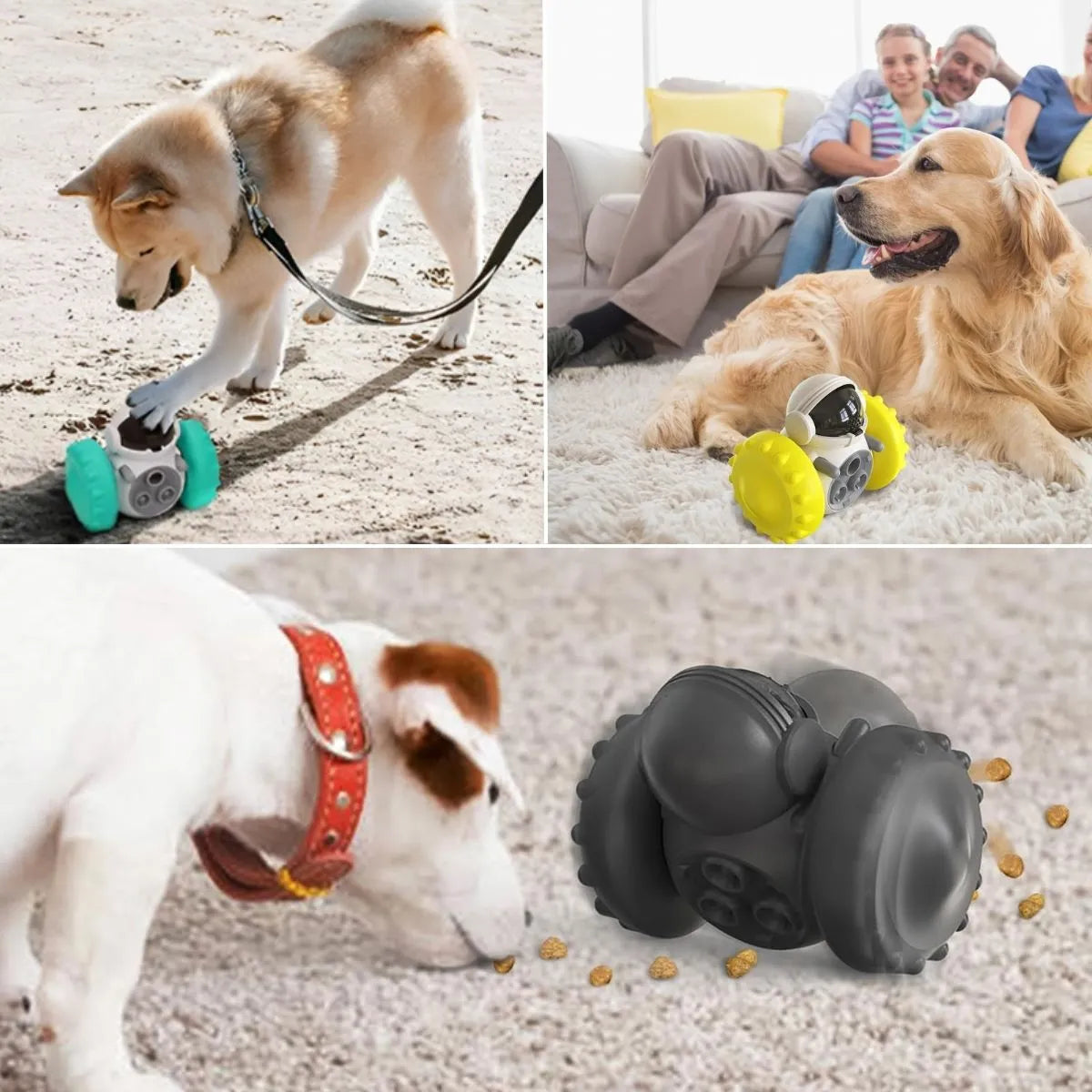 Jouet distributeur de croquettes pour chien utilisé en intérieur et extérieur