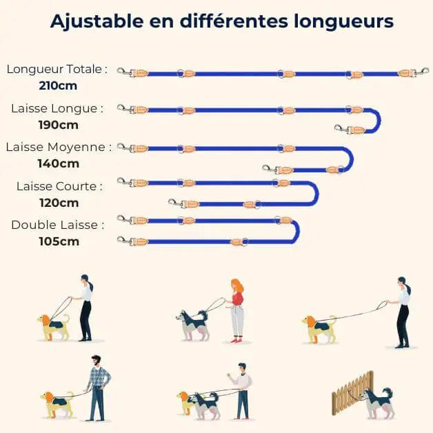 laisse-multiposition-adaptable