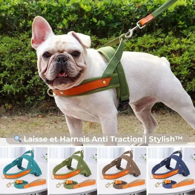 laisse-pour-chien-harnais-stylish