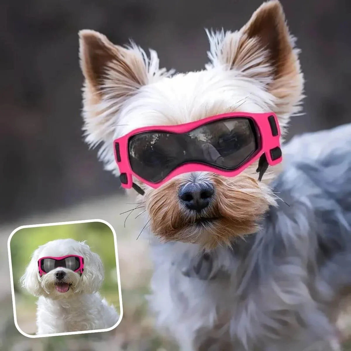 lunette pour chien rose taille S, confort et style pour petits chiens