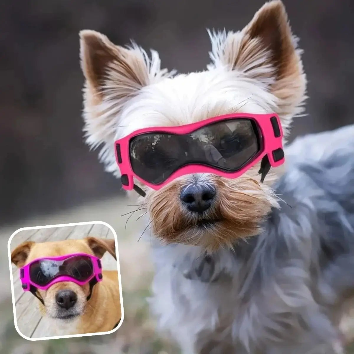 Lunette pour chien rose SunnyDog™ avec verres de protection