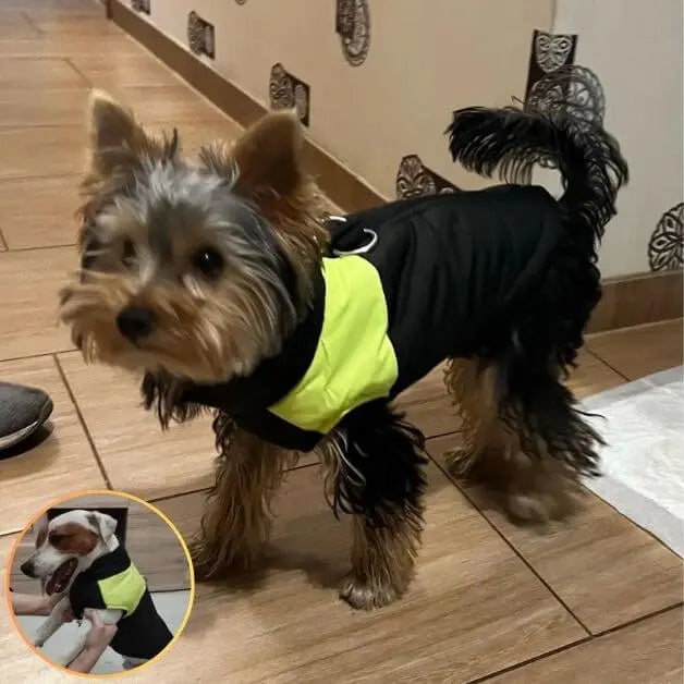 manteau-harnais-pour-chien-jaune