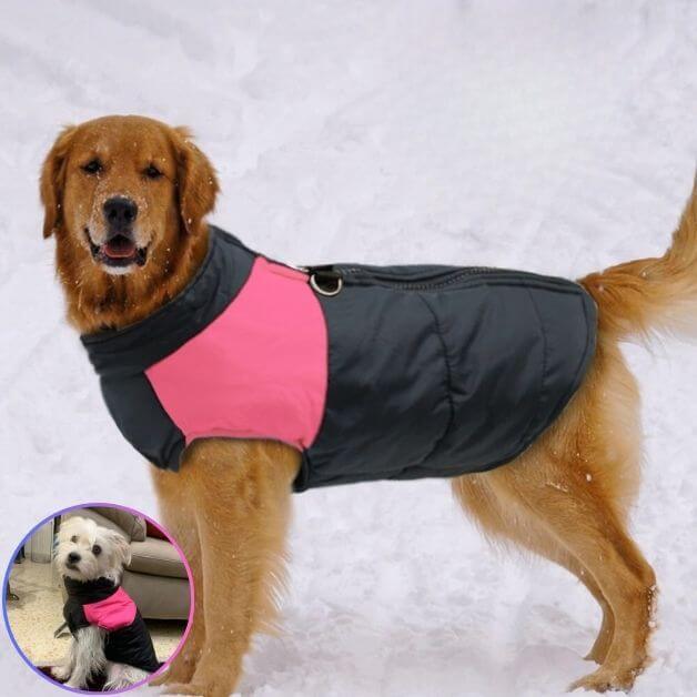 Manteau harnais pour chien  Coat&Walk™ - Puppy Pacha
