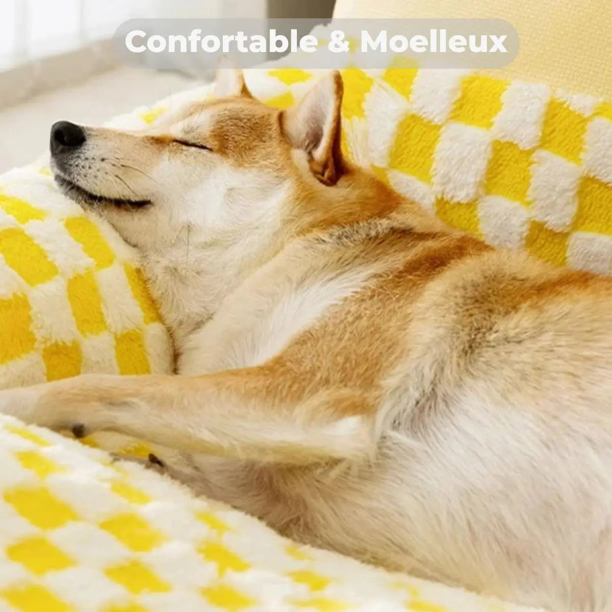 Chien détendu sur le panier doux et moelleux PachaPop™, idéal pour le repos