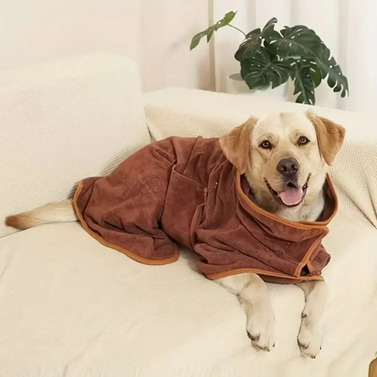 Peignoir de séchage pour chien - Lion 🦁 - Cocopup London