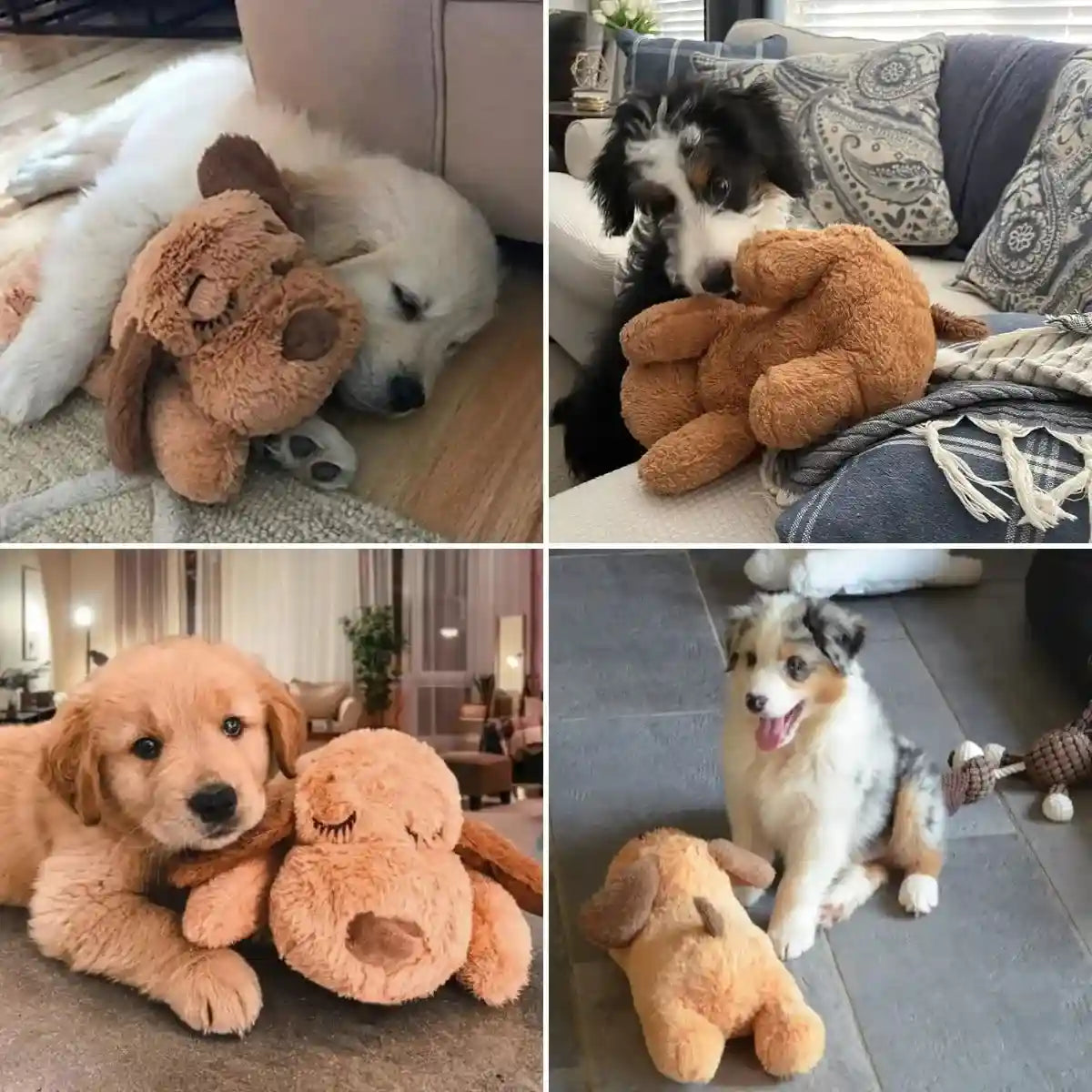 Peluche pour Chien Anti Stress Teddy™ Battements Coeur