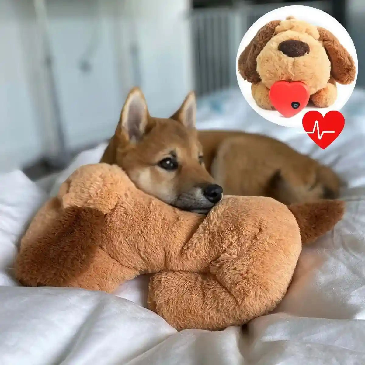 Peluche pour Chien Anti Stress Teddy™ Battements Coeur