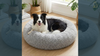 Vidéo PachaBed Puppy Pacha : démonstration du coussin anti-stress pour chien, confort moelleux, panier déhoussable et lavable.
