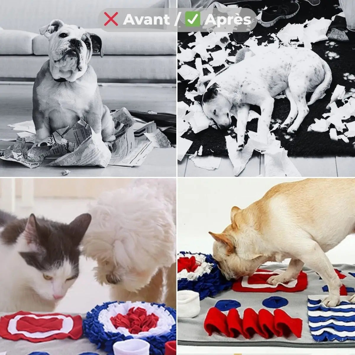 Avant / après : le tapis de fouille chien anti-glouton PlayMat™ aide à réduire l'ennui et l'agitation du chien