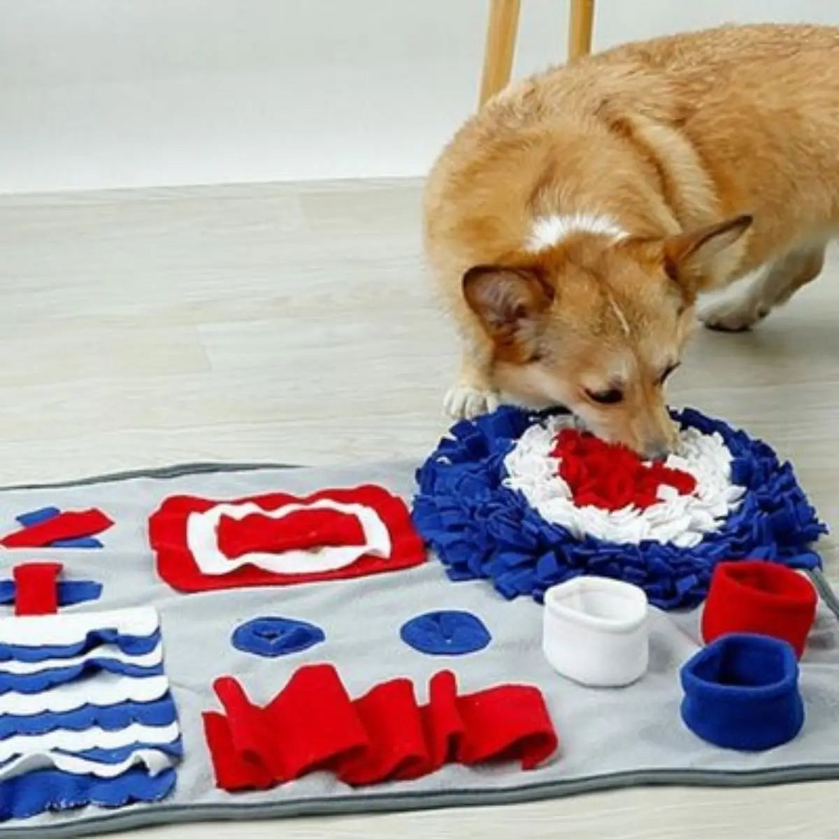 Chien sur tapis de fouille interactif avec friandises