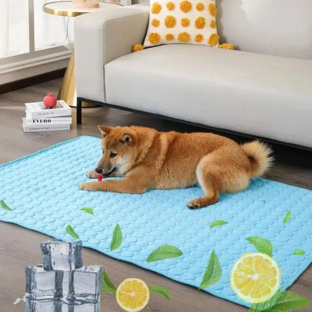 tapis-rafraîchissant-chien-bleu